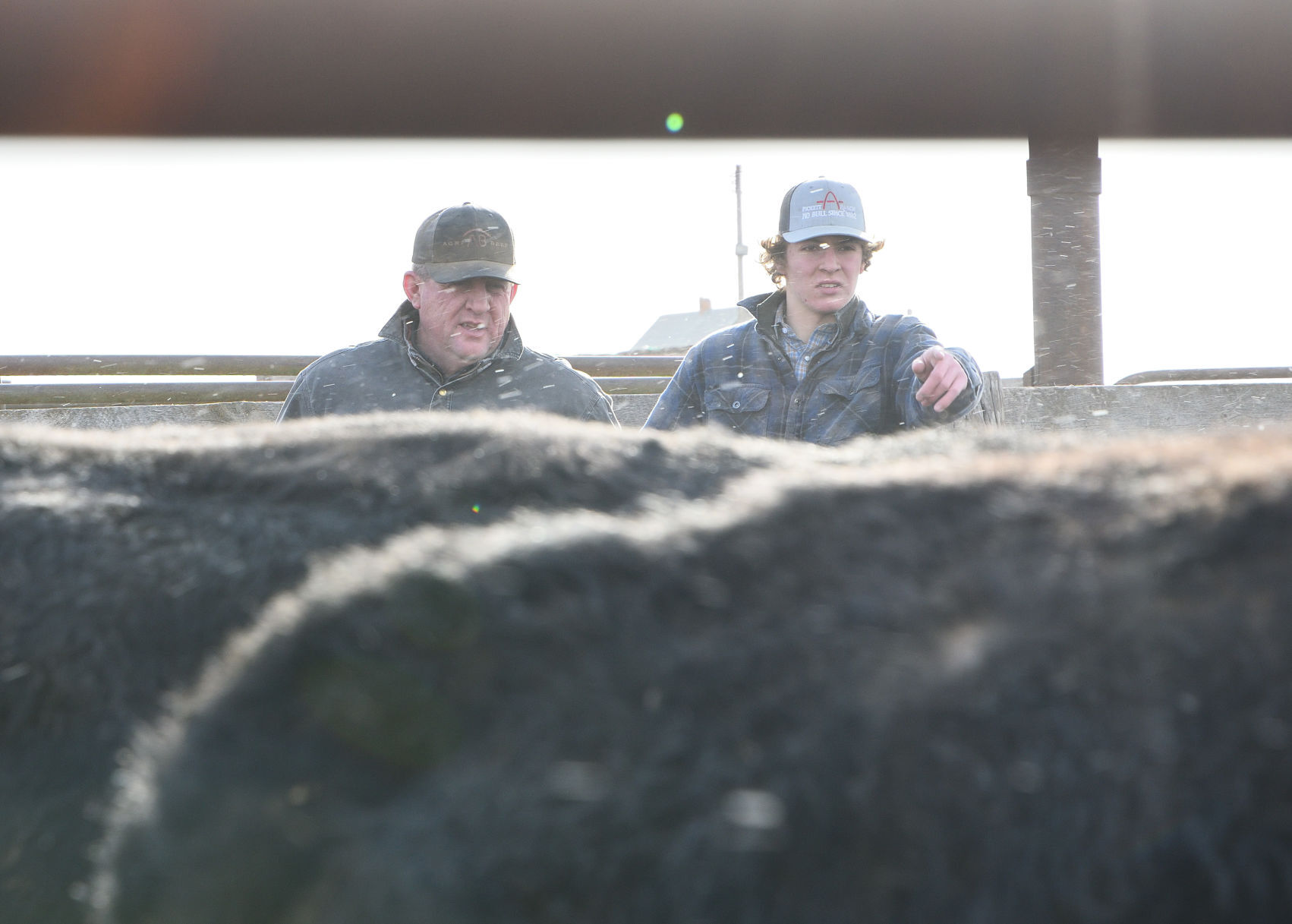 Ranchers deal with fallout from Badger Fire